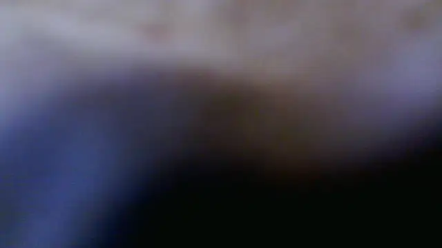 Snapshot of Taylorsexbot chatting on 04/17/26, 11:46 Taylorsexbot online show from 04/17/26, 11:46