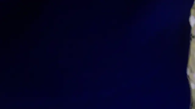 Snapshot of -AyeshaSinghania- chatting on 02/13/26, 01:45 -AyeshaSinghania- online show from 02/13/26, 01:45