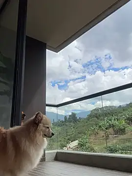 Helenbronwx online show from 01/06/25, 06:52