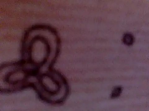 soniasharma0223 online show from 02/17/25, 05:47