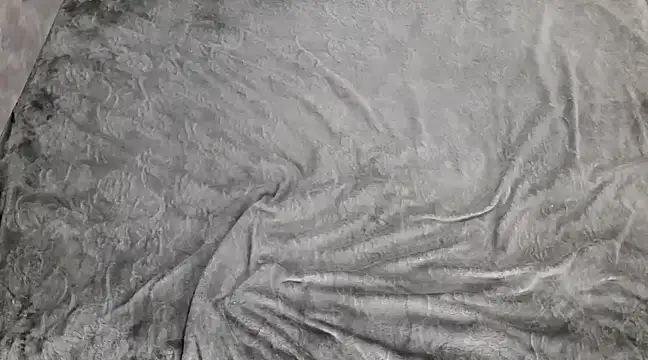 lili 70 online show from 12/29/24, 05:54