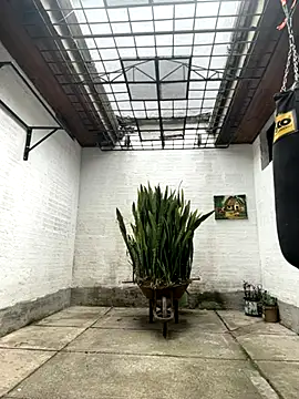 oliver price1 online show from 10/15/25, 07:14