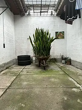 oliver price1 online show from 11/13/25, 09:14