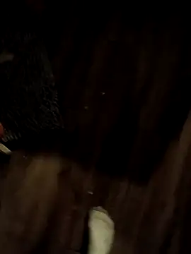 Snapshot of Donglong80 chatting on 11/17/25, 11:16 Donglong80 online show from 11/17/25, 11:16